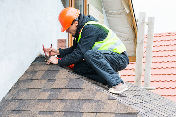 Roof Gutter Cleaning in Indian River, MI