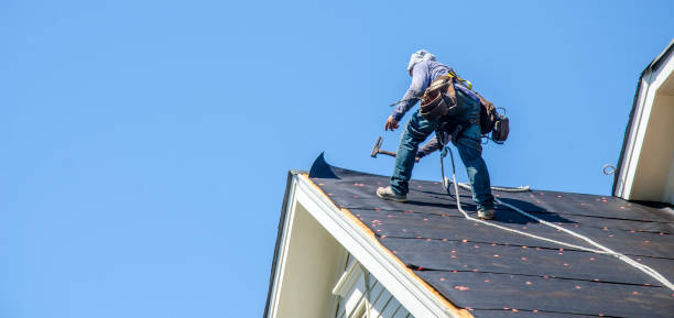 Best Storm Damage Roof Repair  in Indian River, MI